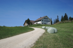 DSCN5096