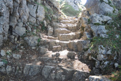 DSCN5100