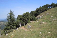 DSCN5102