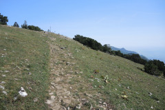 DSCN5111