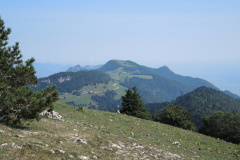 DSCN5131