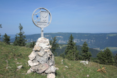 DSCN5135