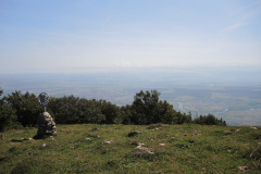 DSCN5140