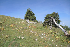 DSCN5153