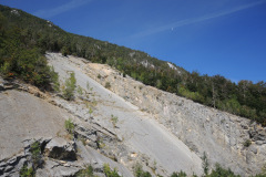 DSCN5158