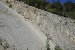 DSCN5164