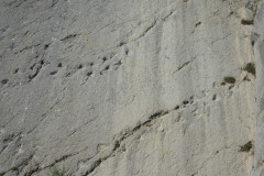 DSCN5169