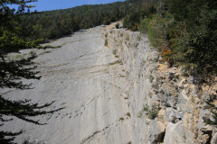 DSCN5170