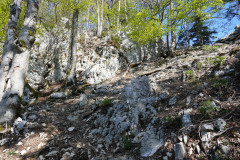 DSC03010