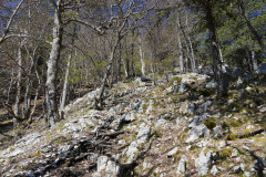 DSC03035