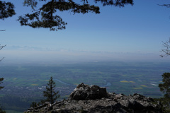 DSC03037