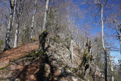 DSC03048