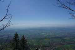 DSC03049