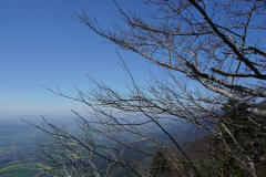 DSC03053