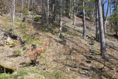 DSC03057