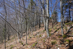 DSC03060