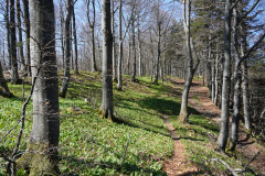 DSC03061