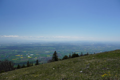 DSC03063