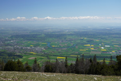 DSC03081