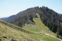 DSC03083