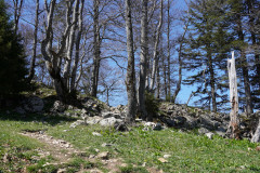 DSC03088