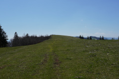 DSC03094