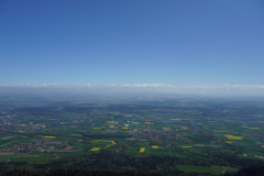 DSC03099