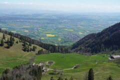 DSC03114