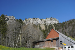 DSC03121
