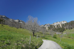 DSC03123