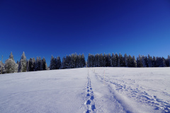 DSC08012