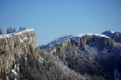 DSC08036