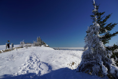 DSC08048