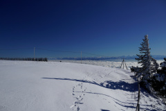 DSC08094