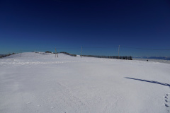 DSC08095