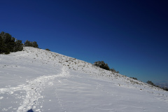 DSC08135