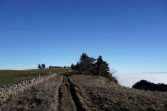 DSC00079