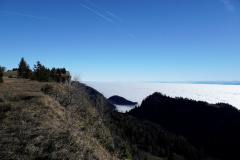 DSC00084