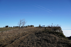 DSC00085