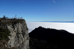 DSC00087
