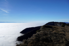 DSC00093