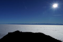 DSC00095
