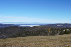 DSC00117