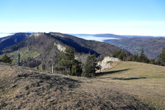 DSC00118