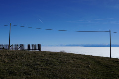 DSC00124