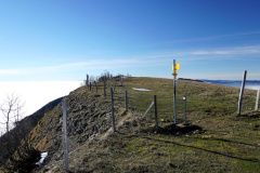 DSC00160