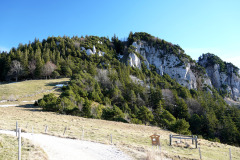 DSC00170
