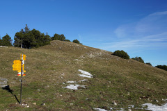 DSC00183