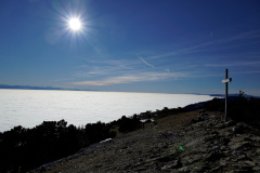 DSC00195