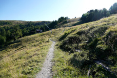 DSC07145